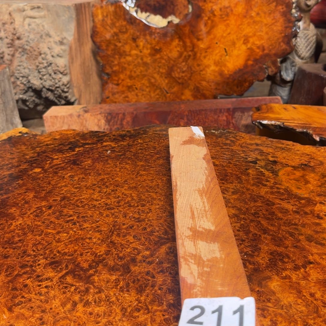 大果紫檀（缅甸花梨）