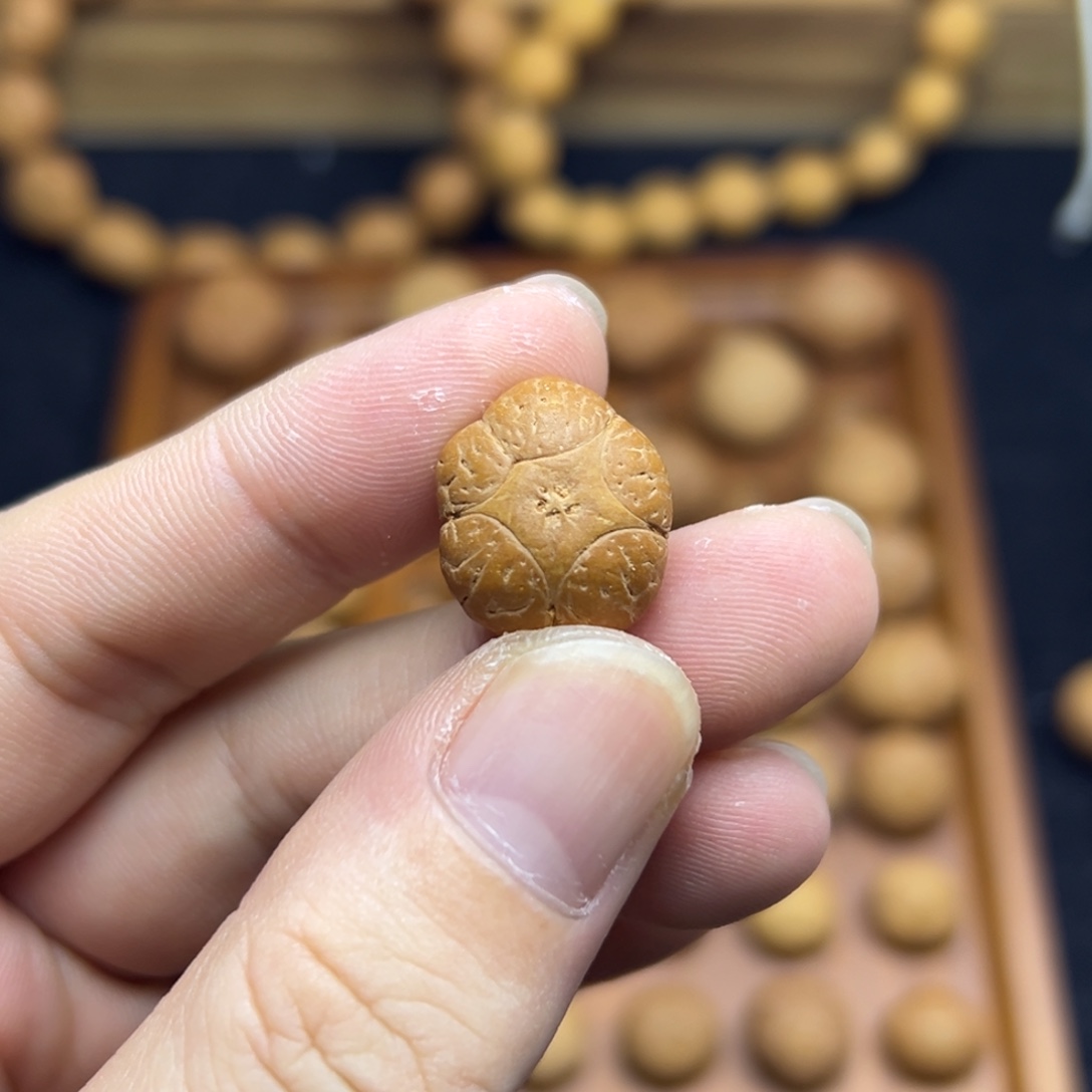 凤眼菩提手串17.9五星上将