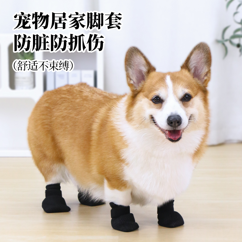 宠物狗狗脚套防脏防抓透气袜子室内静音袜好穿不掉脚中小型犬用品