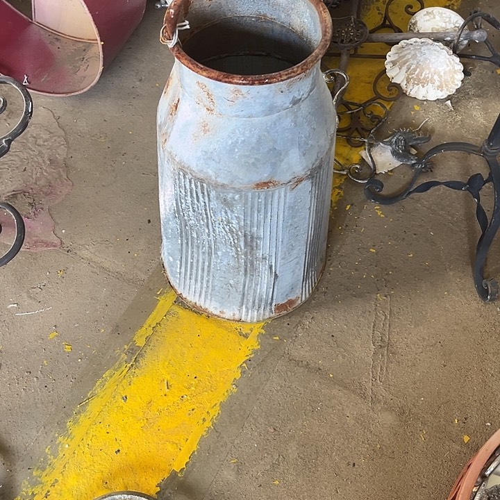 户外园艺孤品奇奇怪怪