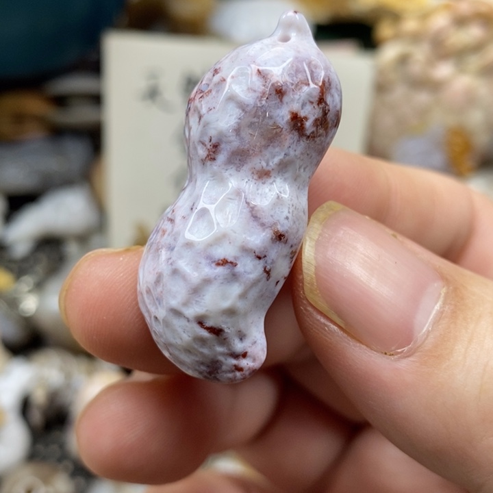 颈饰未镶嵌硅化珊瑚（珊瑚玉）