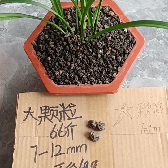 罗***军兰菌黑山土大颗粒6.6斤