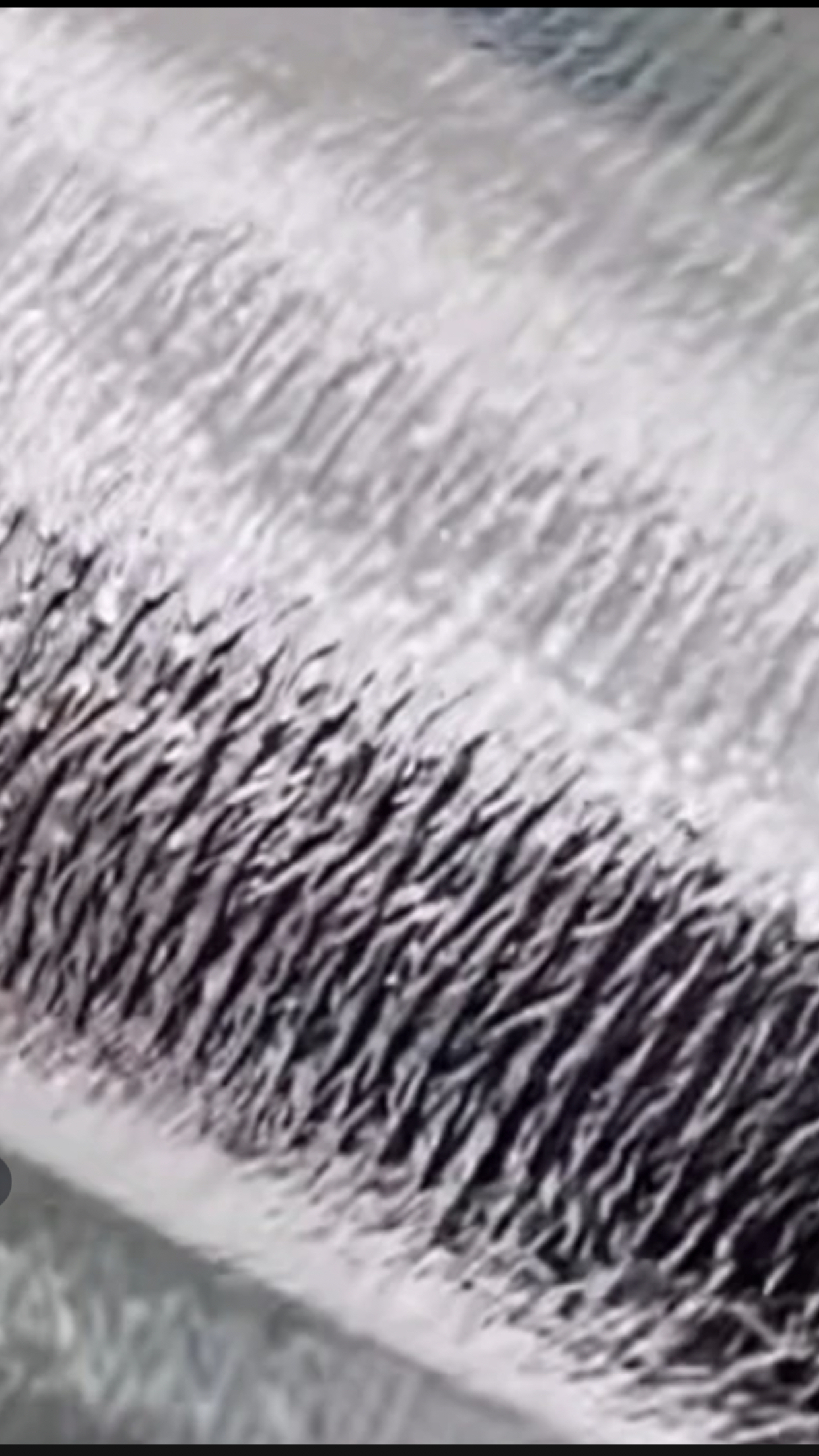 鲜切花果绿植保温棉零下地区需拍 不拍冻伤不售后