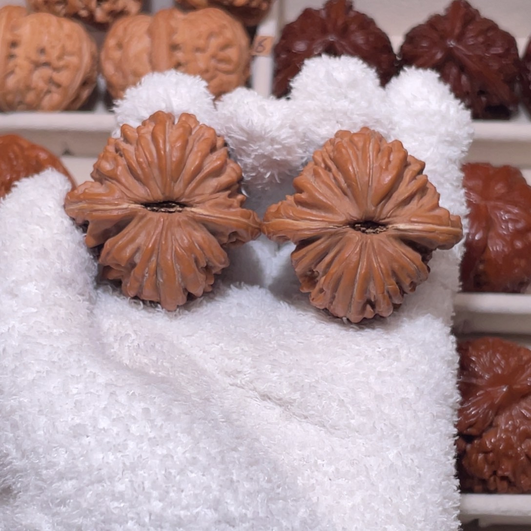 文玩核桃吊坠全品菊花楼41尺