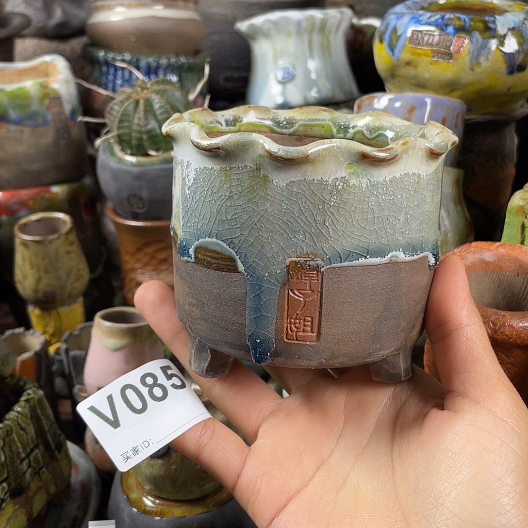 默认微次   限时福利 坛子姐花盆