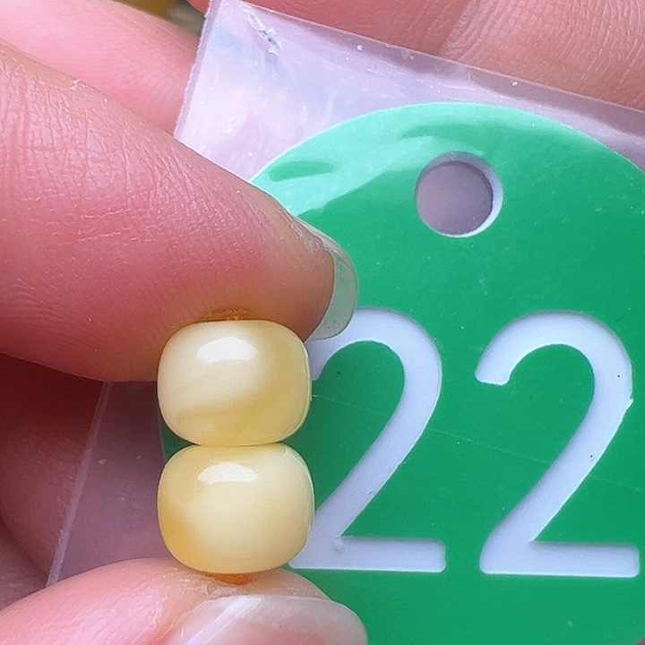 蜜蜡裸石未镶嵌7.5m m