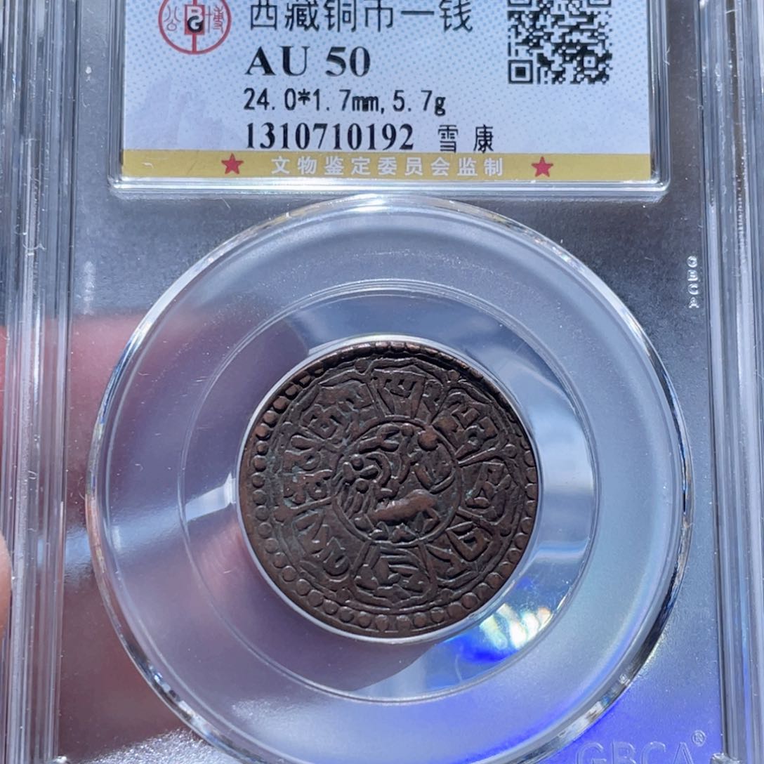 金属通古博今250524范范0192