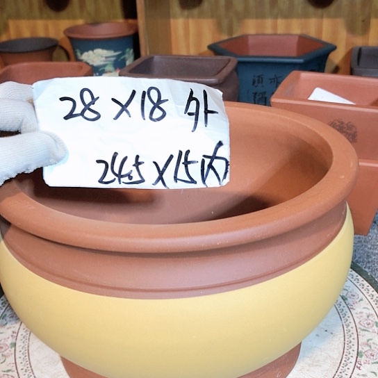 紫砂紫砂花盆紫砂花盆