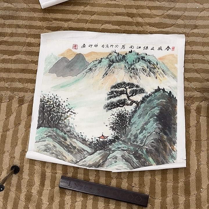 国画花鸟的翅膀是白色和白色50.50