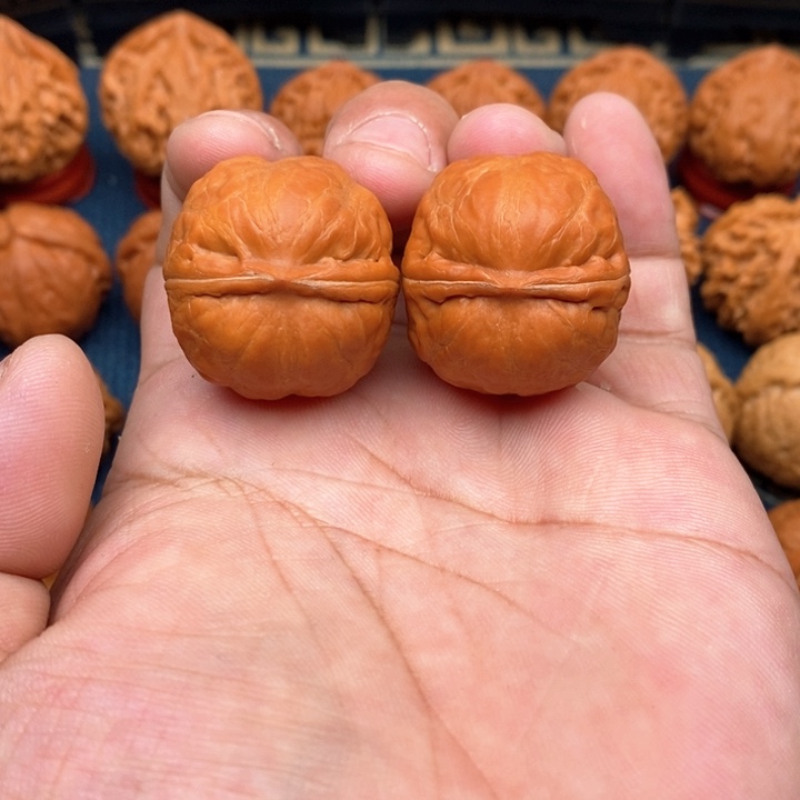 文玩核桃把件郝**长手捻