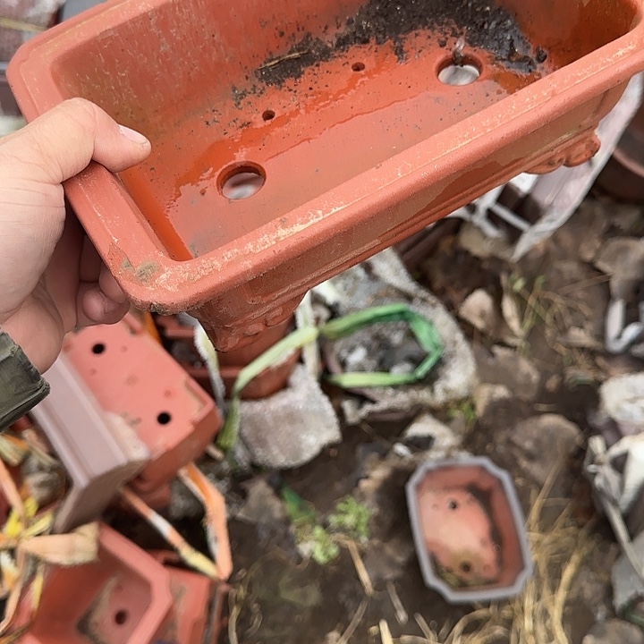 你的孩子还小嘛哈啊我要