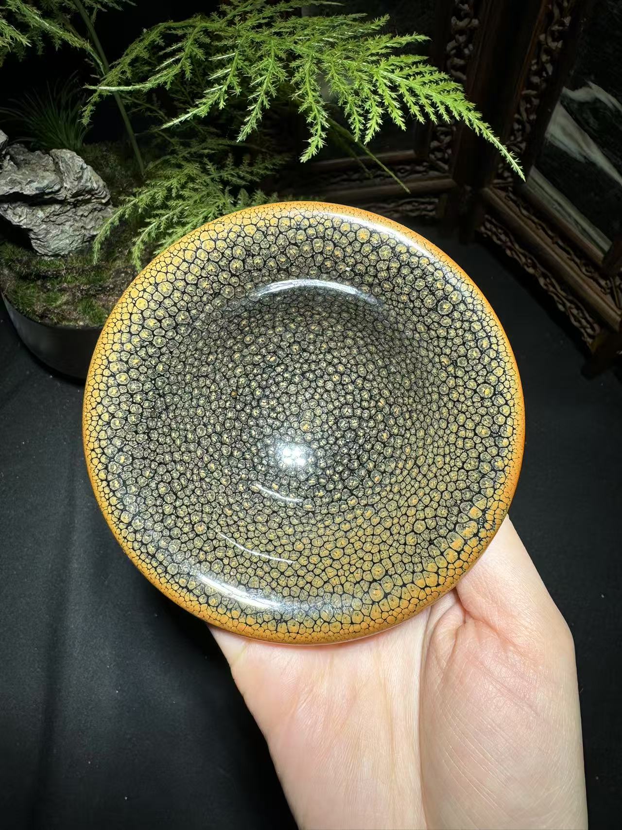 精美鹧鸪斑一只