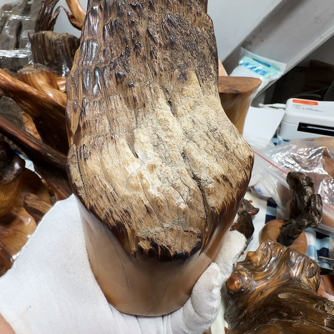 强***志柏木（崖柏）太行崖柏陈化雷击老茬头