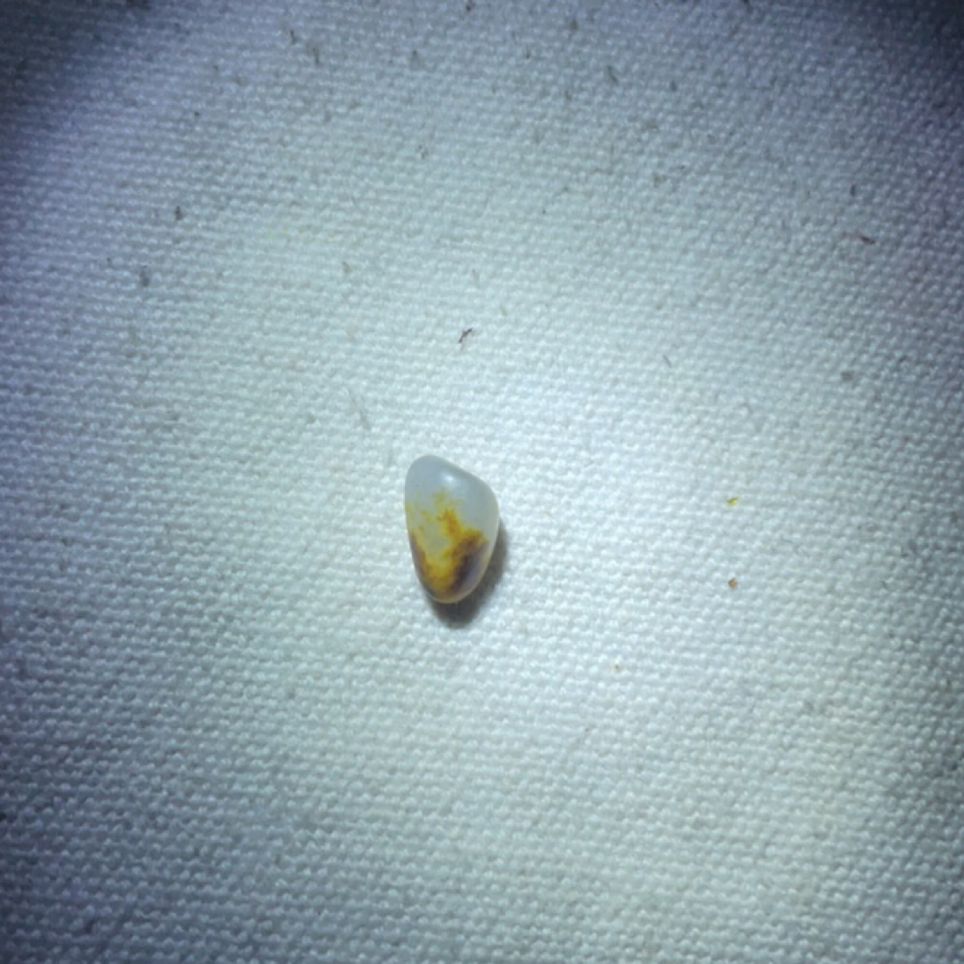 和田玉黄皮项链子