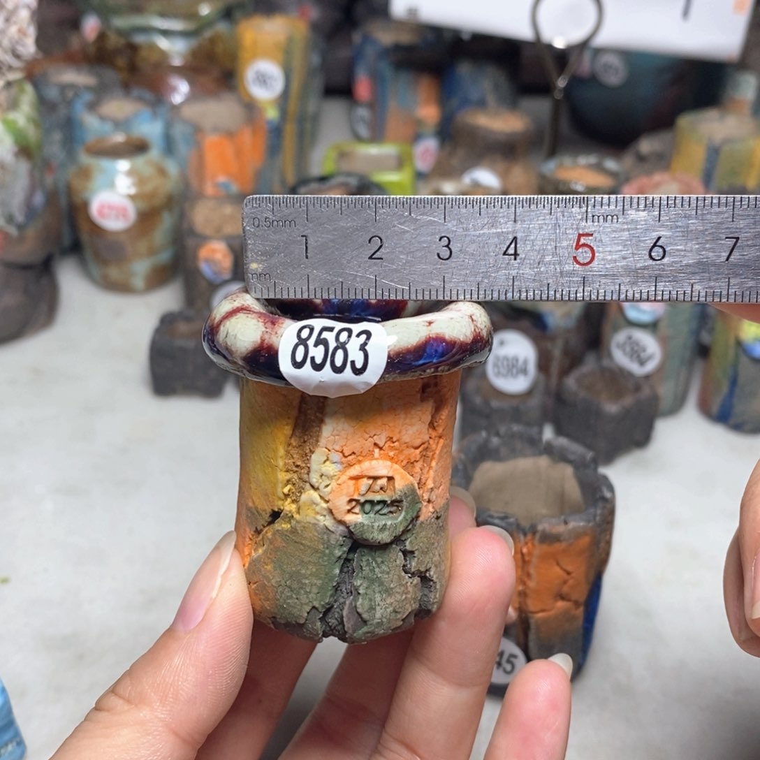 拍3送一个小礼物