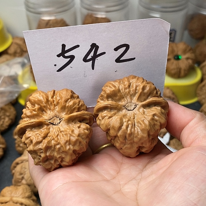 卡***诺蛤蟆的眼睛是真的好看啊