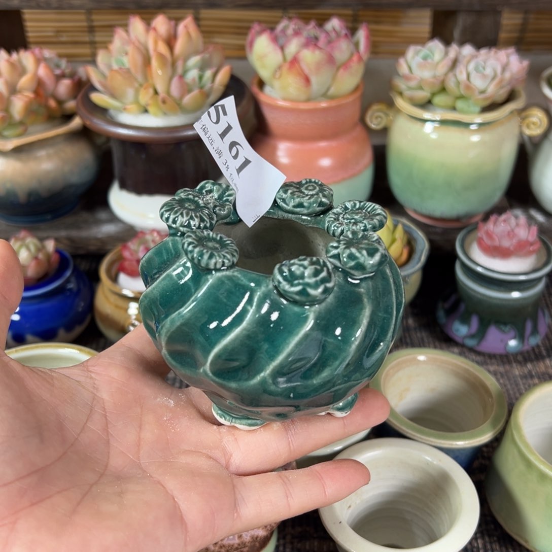 红陶景德镇陶瓷……