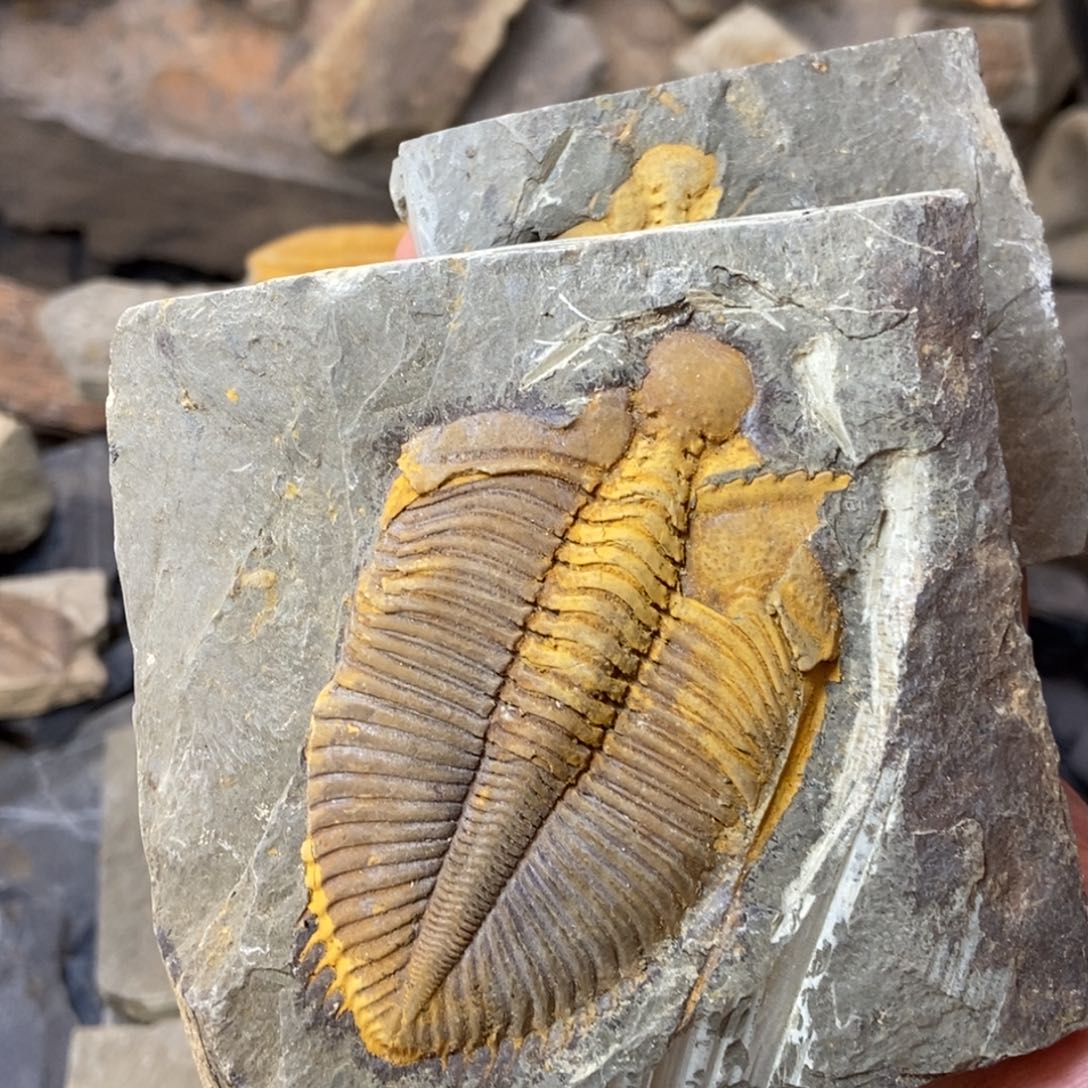 明***堂石材11111111111111