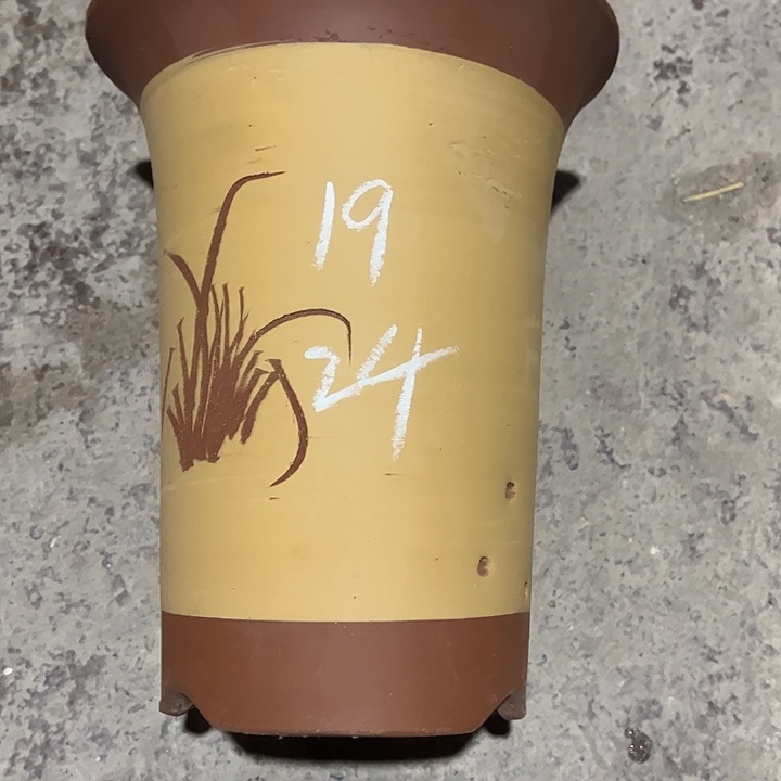 紫砂工艺厂……紫砂工艺厂……