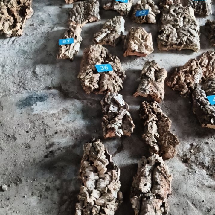 完全开放顺顺利利，平平安安