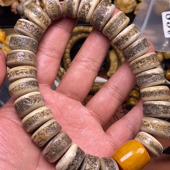 驼骨其他人工养殖