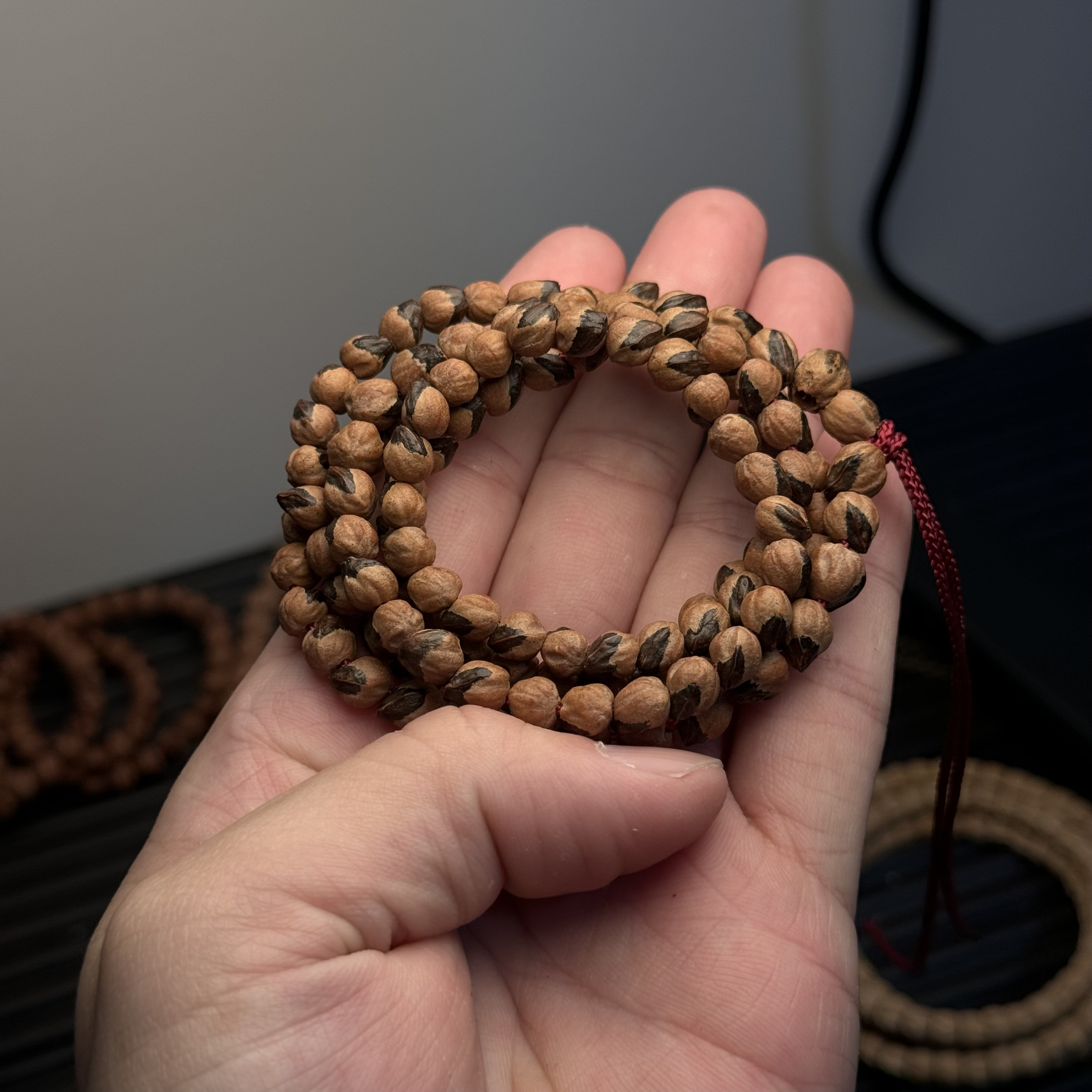 热振柏香籽红芽原桩小蛇单线尺寸6