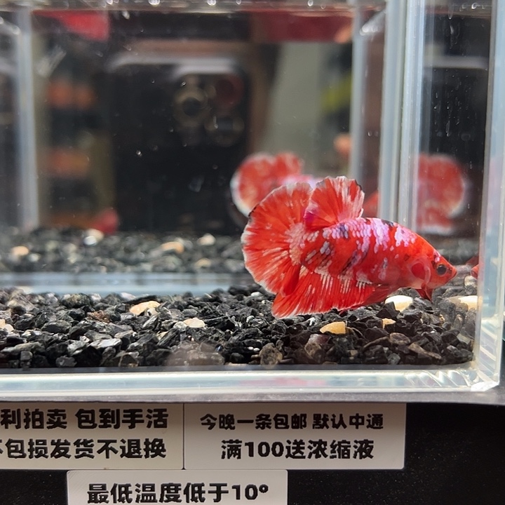 斗鱼跑单拉黑23日84