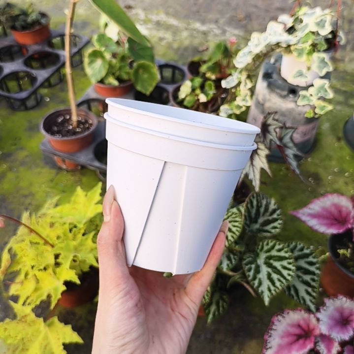青山盆控水盆热植专用