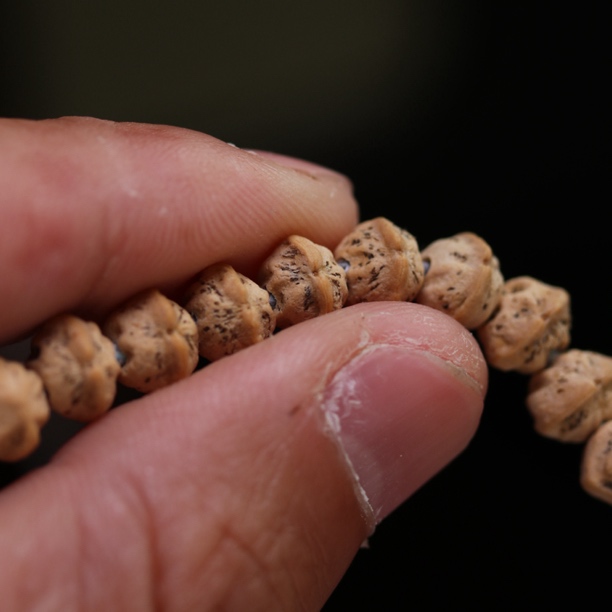 热振柏香籽白牙横打玉华皮108念珠