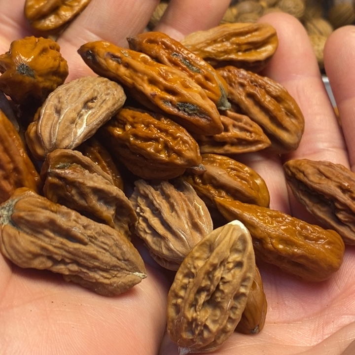 吊坠文玩核桃东北东北特产12