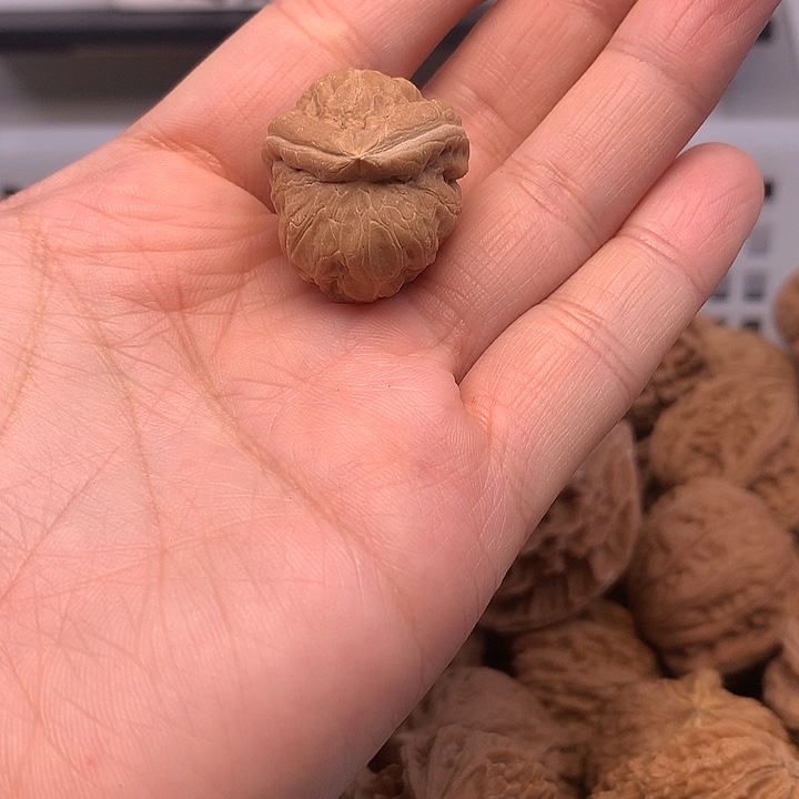 拒***了吊坠文玩核桃文玩核桃