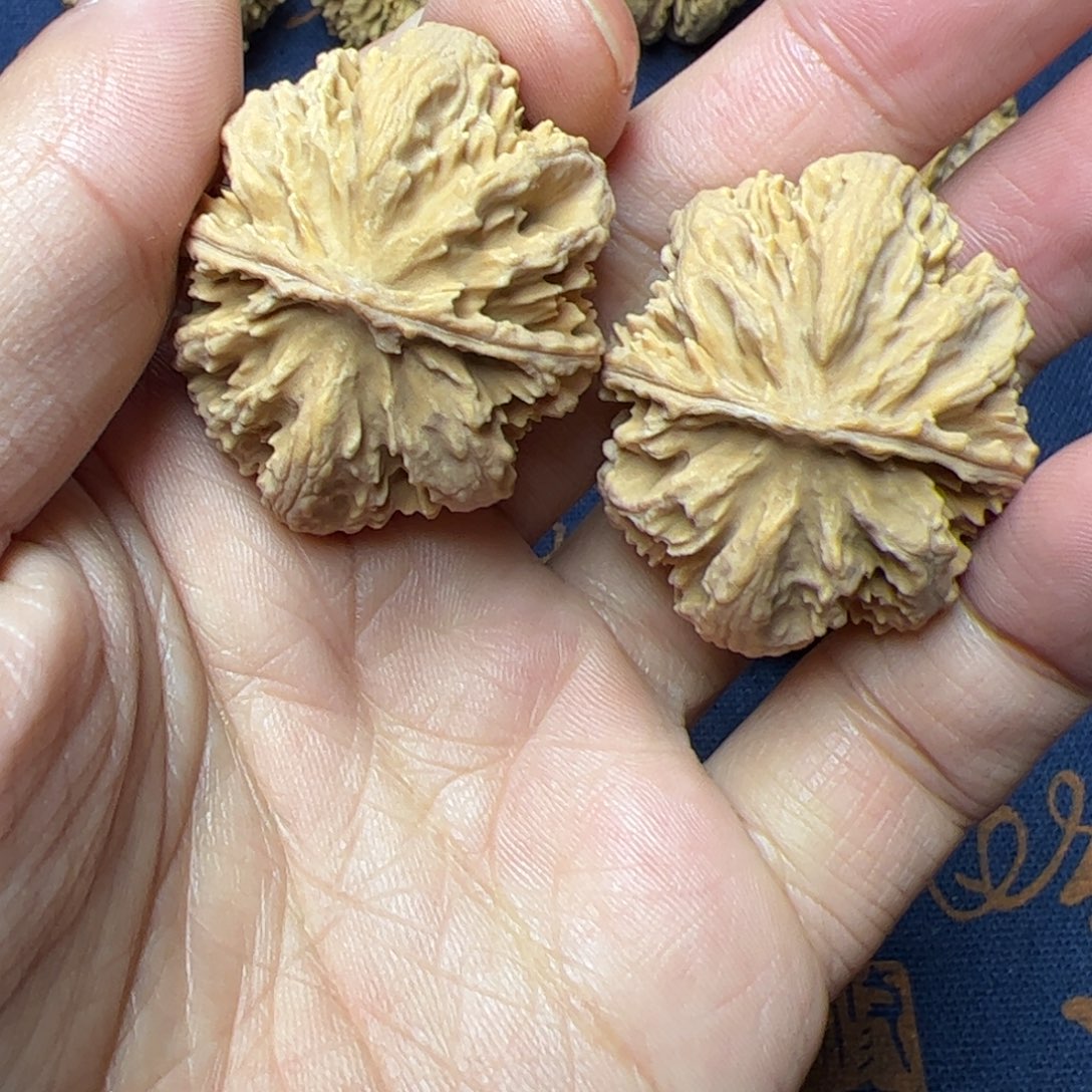 文玩核桃把件秦岭野生植物核桃