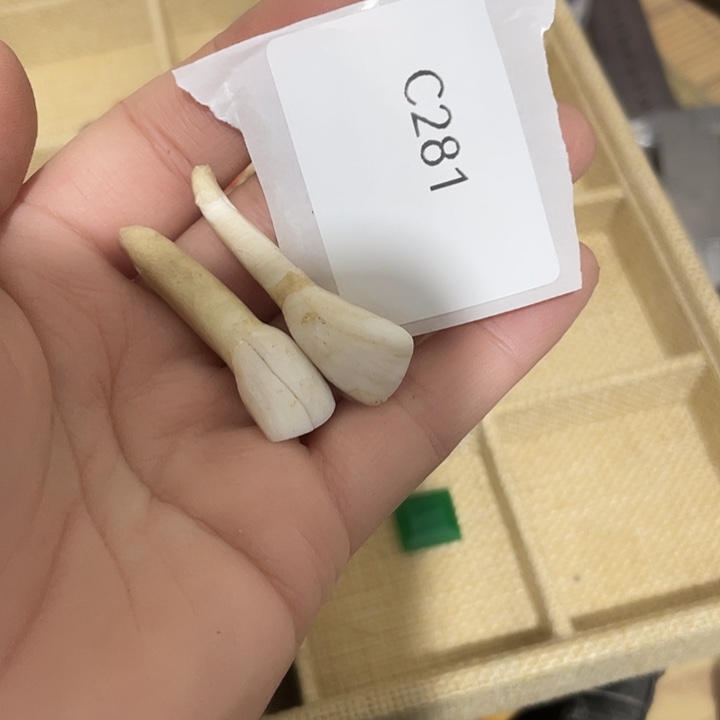 老***.瓷片c281工艺品222