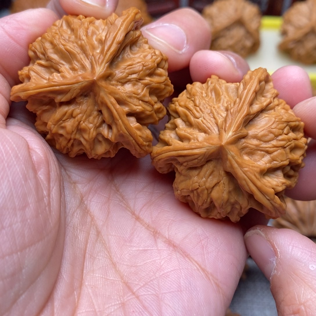 文玩核桃把件晨****9全品毕业盘山奔奔40尺