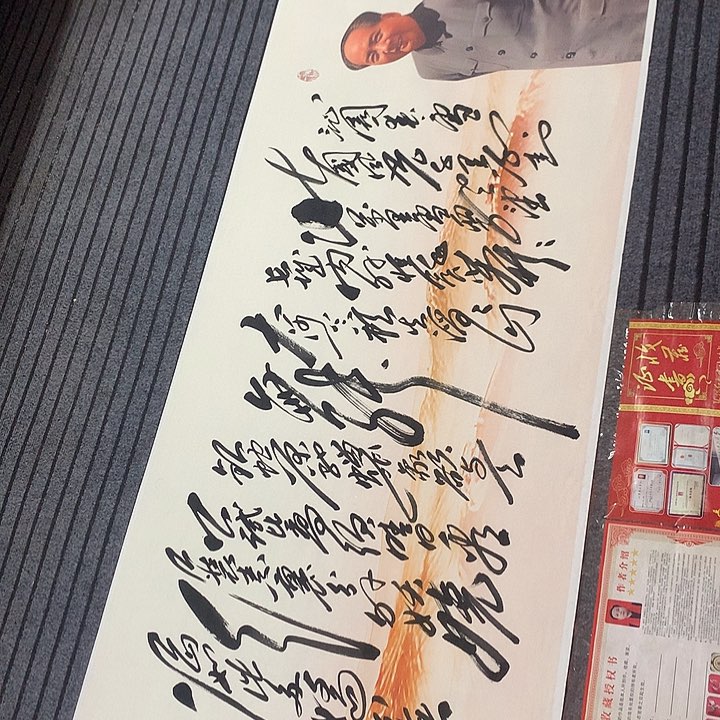 书法冯伟老师新款雪8