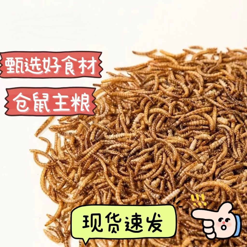 面包虫干仓鼠零食芦丁鸡鸟食龟饲料营养主粮十五金丝熊刺猬磨牙