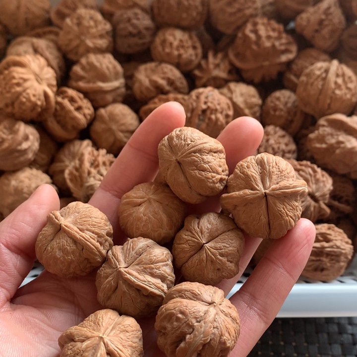 ****王把件文玩核桃元宝