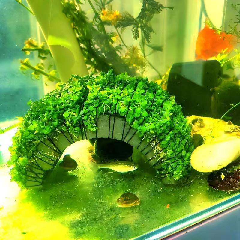 拱桥造型矮珍珠高珍珠坨草水草新手懒人适用无需底沙鱼缸造景
