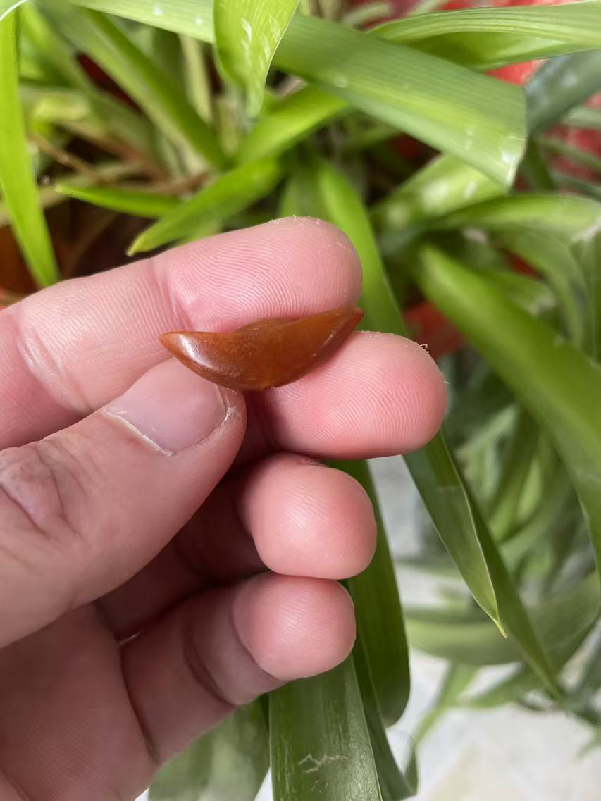 2克和田玉元宝吊坠