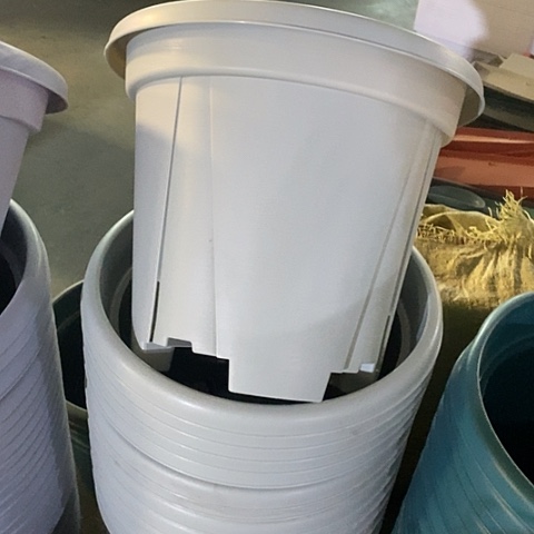 树脂青山7号5个无托灰白