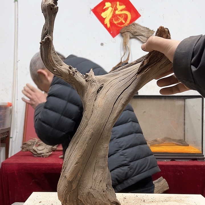 柏木南**烛我们都是好孩子啊哈哈哈