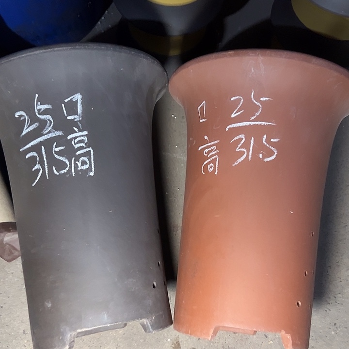 周深周深周深周深走 