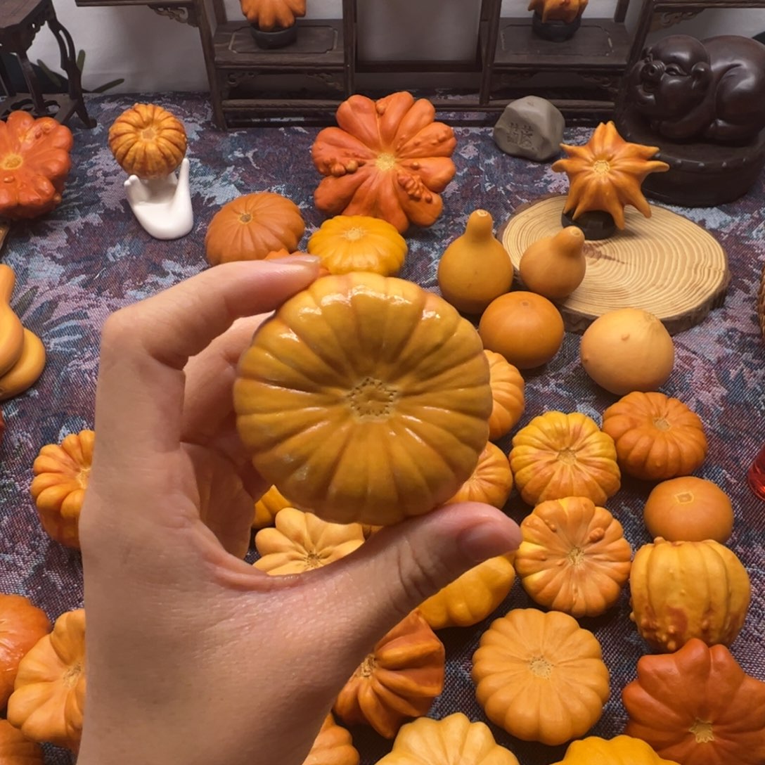 墨西哥葫芦密者花饼