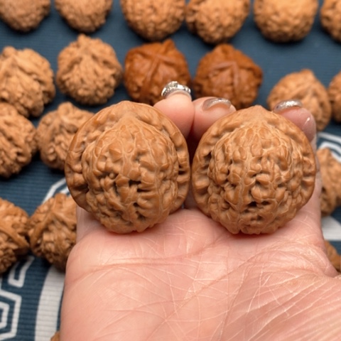 橄榄核手串/手链金字塔37