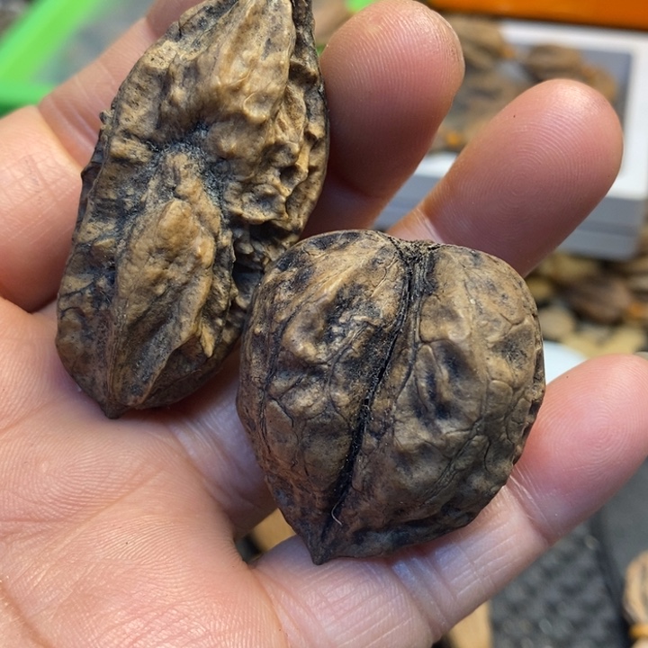 逸***昂文玩核桃吊坠娜姐21