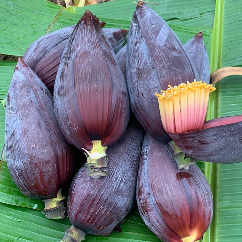 广西新鲜采摘芭蕉花香蕉心大蕉花蕾绿色蔬菜5斤包邮蕉花食材蕉蕾