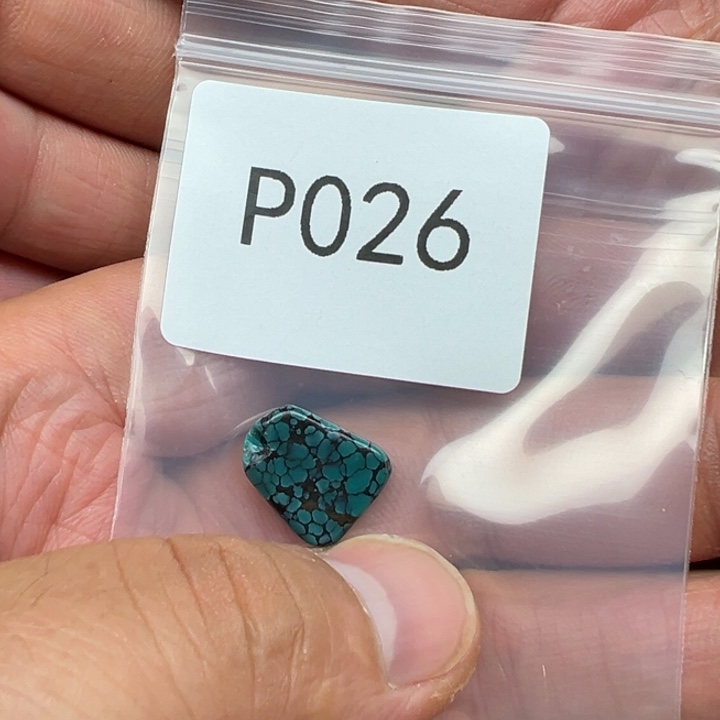 菩提根/象牙果手串