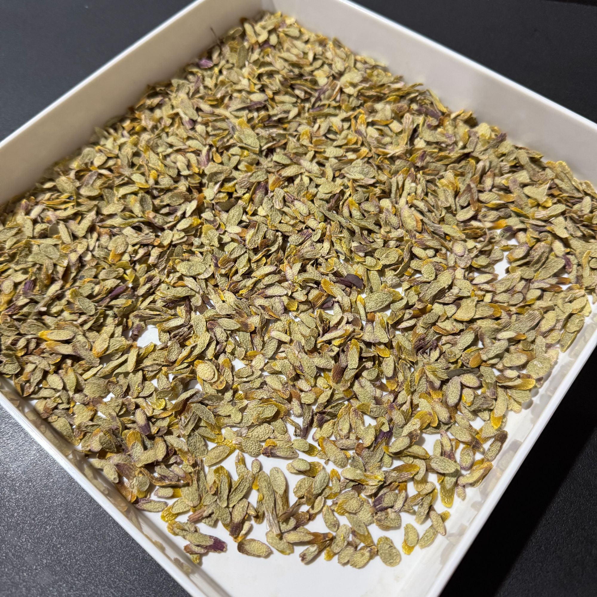 紫芽石斛片 霍山 胶质丰富无渣切片