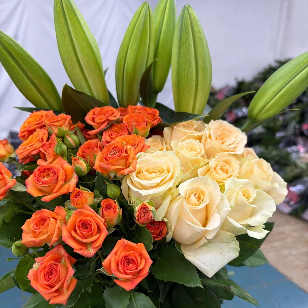 【玫瑰组合】单头玫瑰新鲜鲜花花束云南鲜花基地直发适合客厅装饰