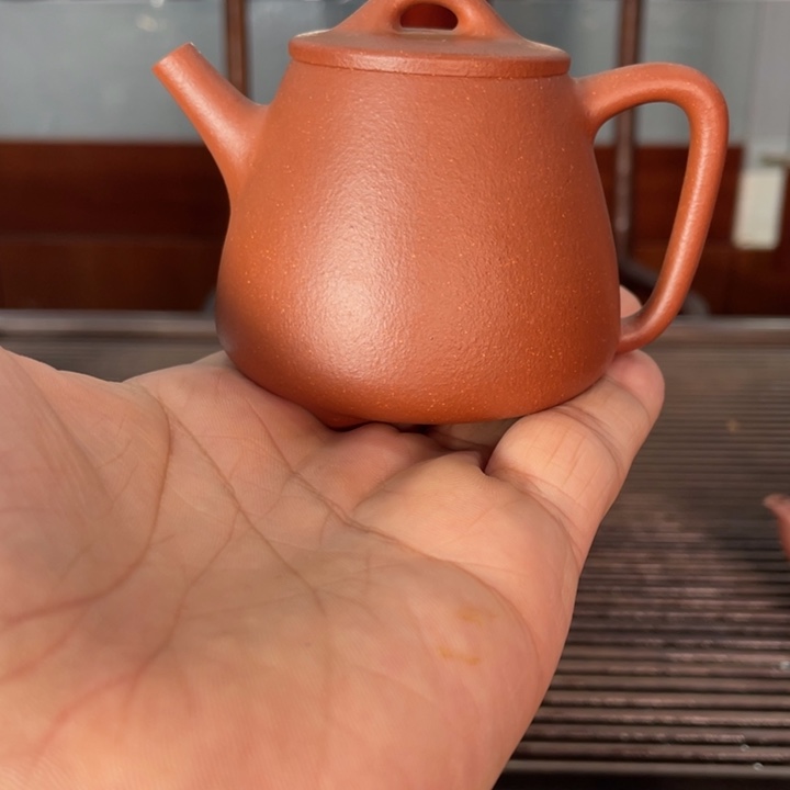 茶壶紫砂哈哈哈哈哈这个综艺节目真的是太棒啦